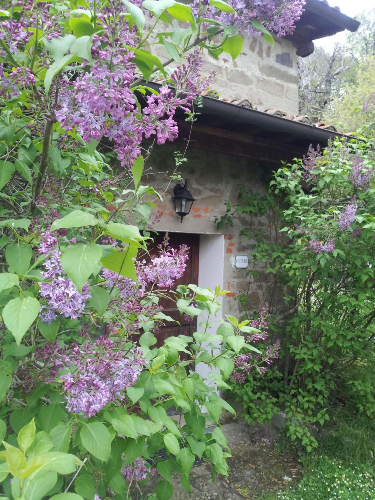 Fattoria Il Praticino - Metato Castelfranco di Sopra Exterior foto
